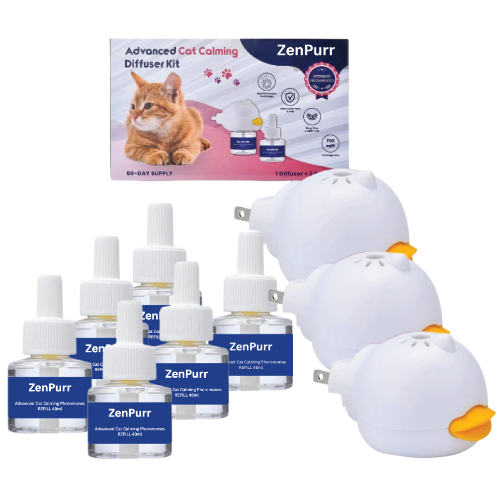 ZenPurr
